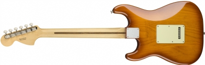 Fender USA Performer Strat RW HBST