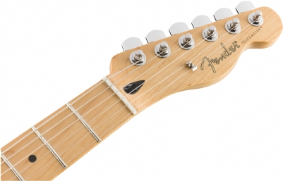 Fender Player Tele MN PWT